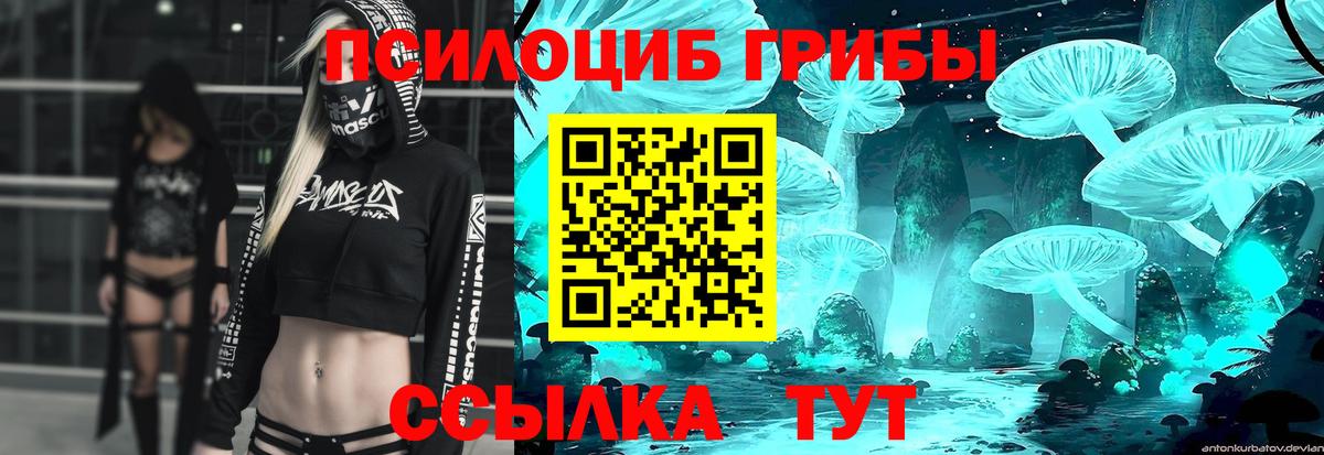 Бузулук  Псилоцибиновые грибы Magic Shrooms  Вход с VPN 