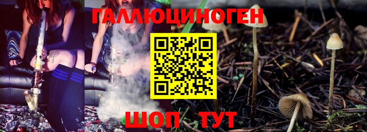 Псилоцибиновые грибы прущие грибы Бузулук